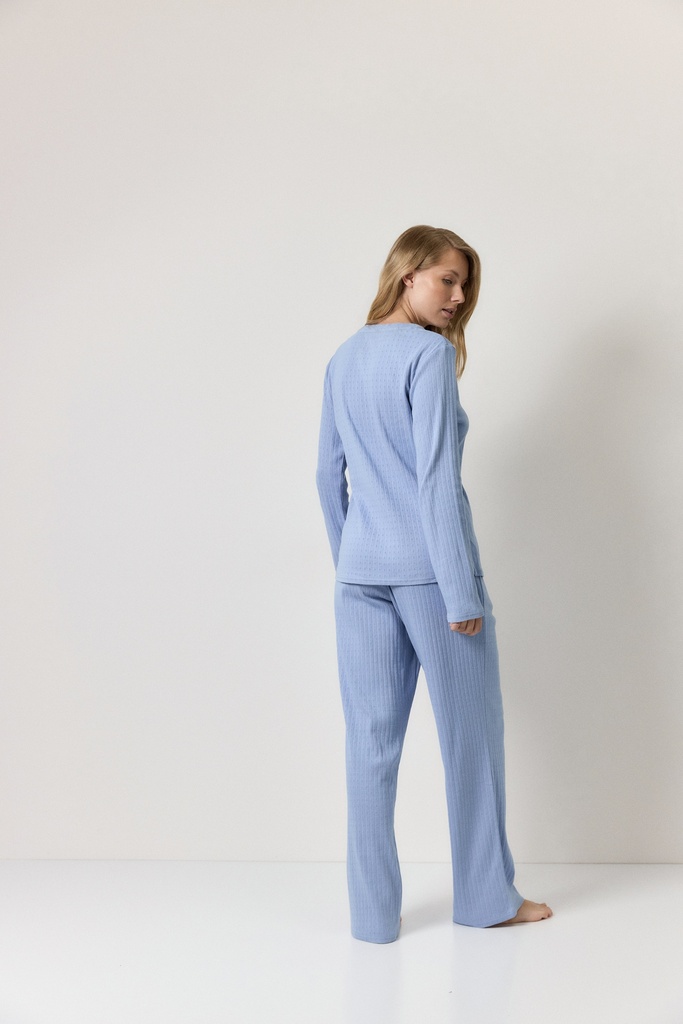 Eirasetlongback